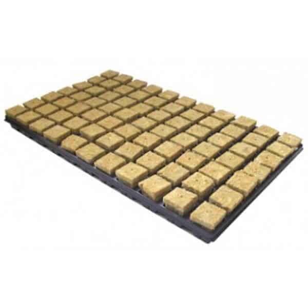 Bandeja Lana Roca 25 X 25 X 40 Mm - 150 Alveolos