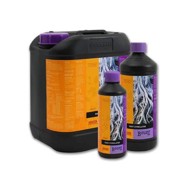 5l