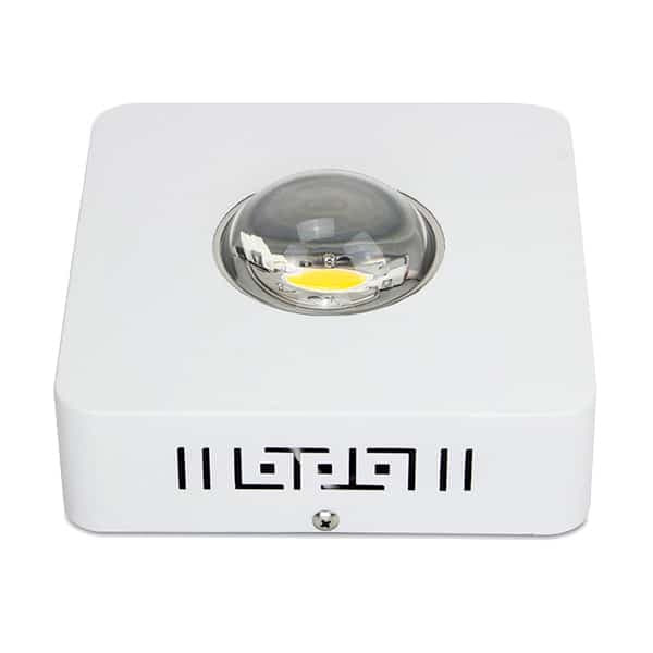 Luminaria Led Cob 100W/200W Grow & Bloom