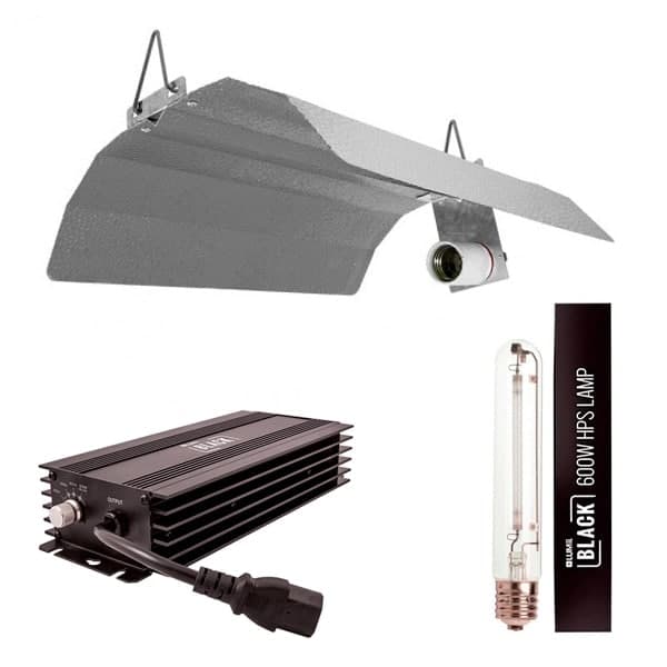 Kit 600 W Lumii Black Electrónico