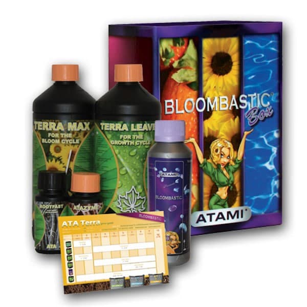 Ata/Terra Bloombastic Box