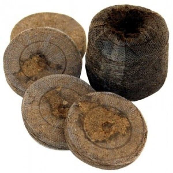 pastillas Jiffy 24 mm hidratadas para germinación