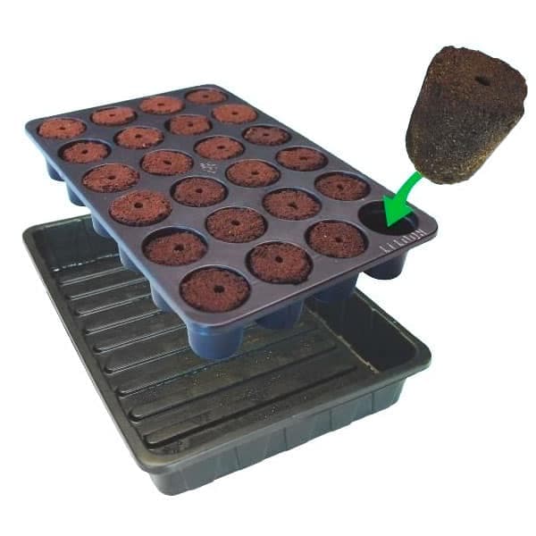 Fleximix 24 Alveolos (38X24X18.5) Natural Rooting Sponge Rootit