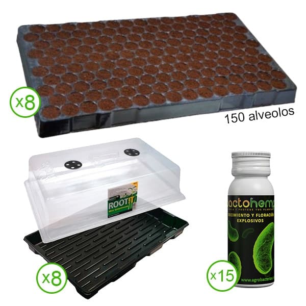 Pack Promocional Semilleros 104 Alveolos