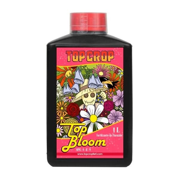 Top Bloom - Top Crop