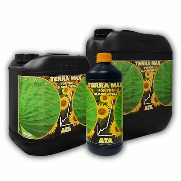 Terra Max - Atami