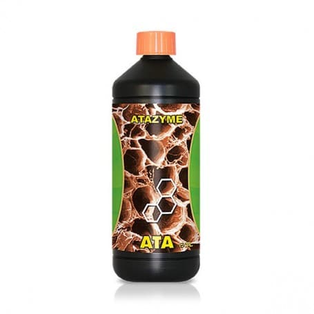 1l