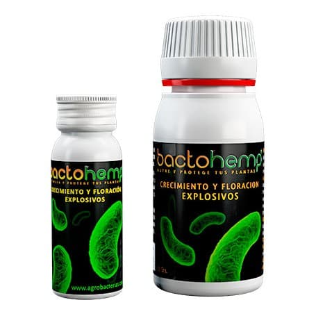 Bactohemp Agrobacterias
