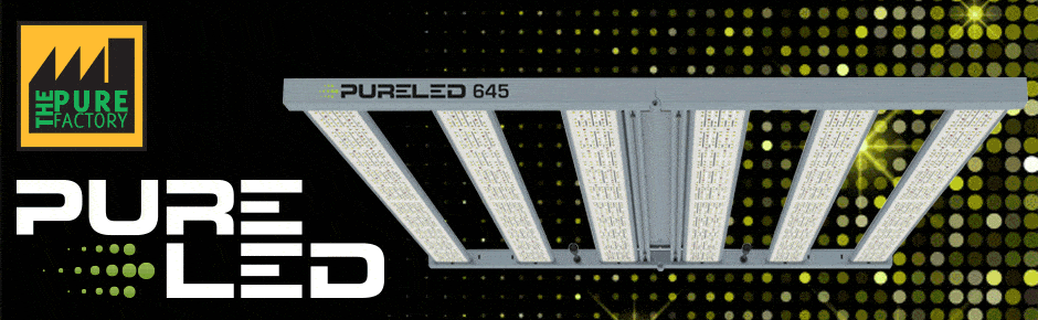 Pure Led 645W - Imagen 3