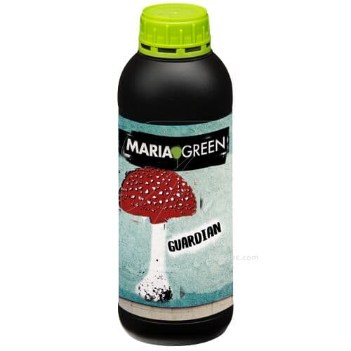 1 L