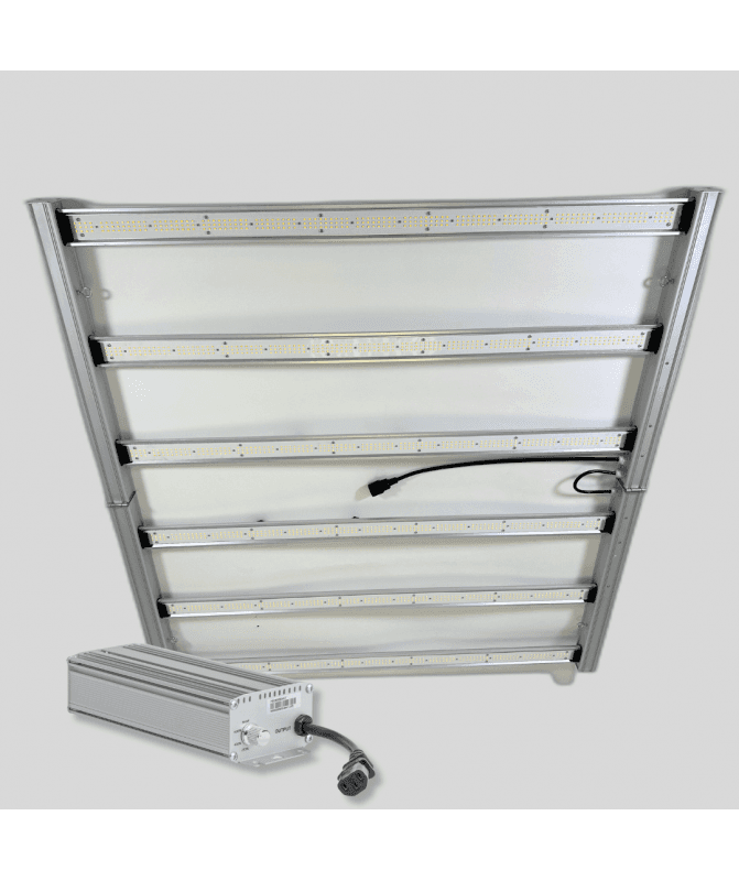 LED Master King 720w con Balastro Vanguard