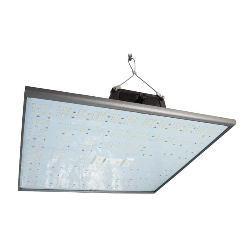 Pure Led Q240 (240W)