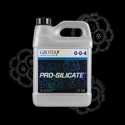 Pro Silicate de Grotek