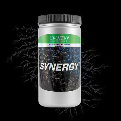 Synergy Grotek