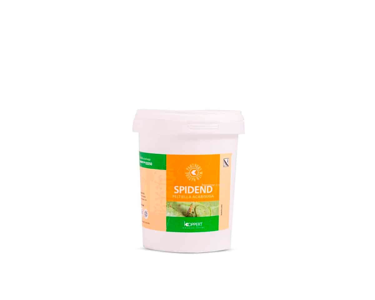 Spidend 250 Cubo 550 Ml koppert [Bajo pedido]