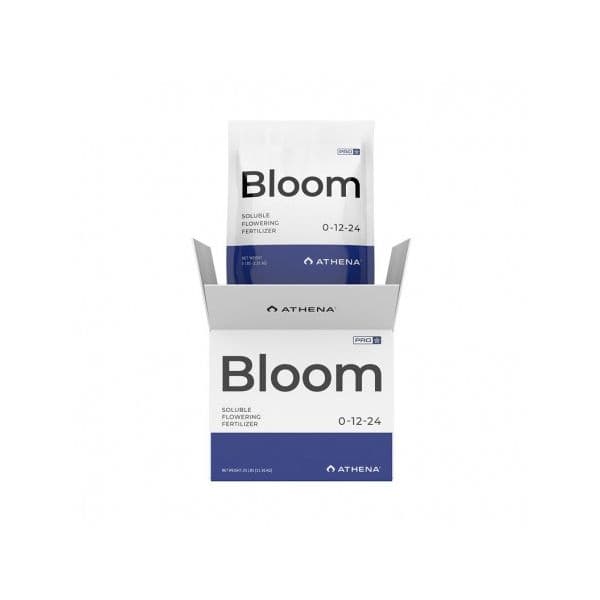 Athena Pro Bloom