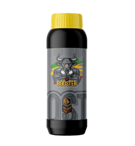 lion pk booster