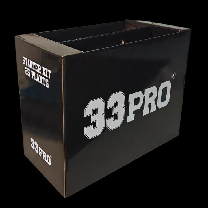 STARTER BOX 33PRO