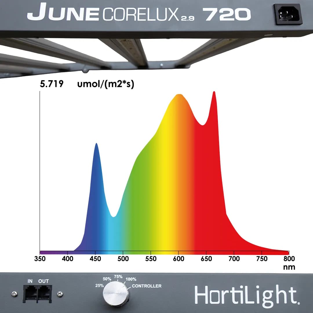 Iluminación uniforme con LED Hortilight Corelux 720W en cultivo interior profesional