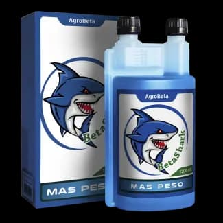 1200-ml