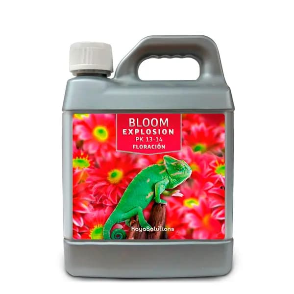 1l
