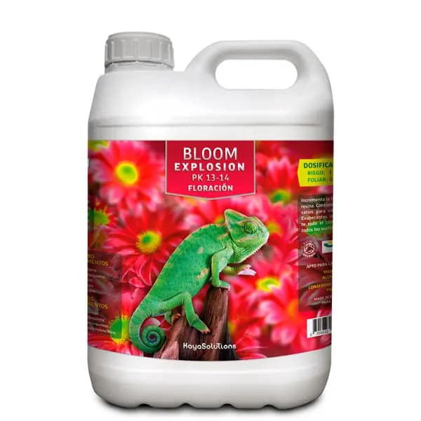 Bloom Explosion KayaSolutions