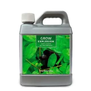 1l