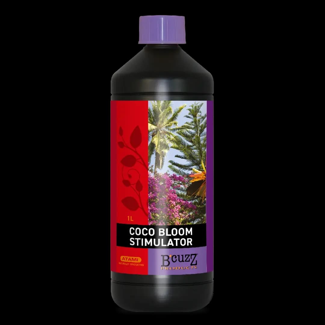 1 L