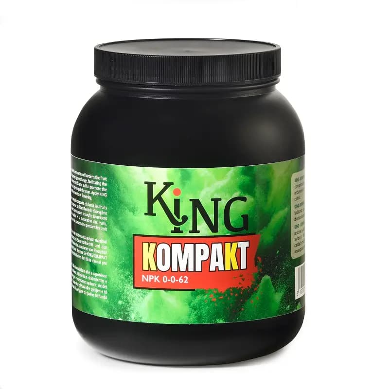 King Kompakt Trabe - Imagen 4