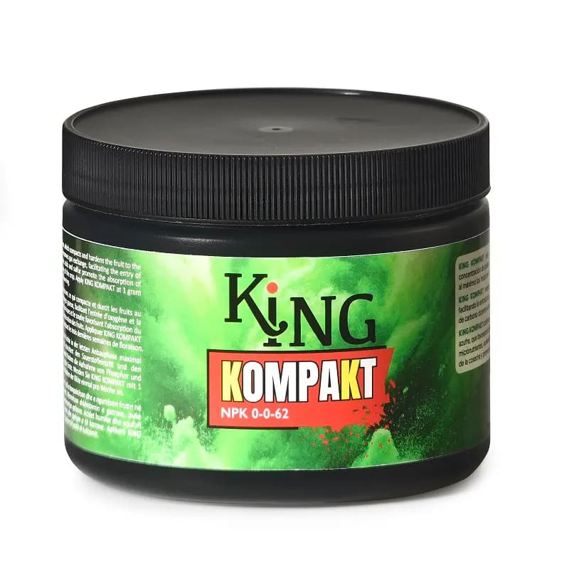 King Kompakt Trabe - Imagen 2