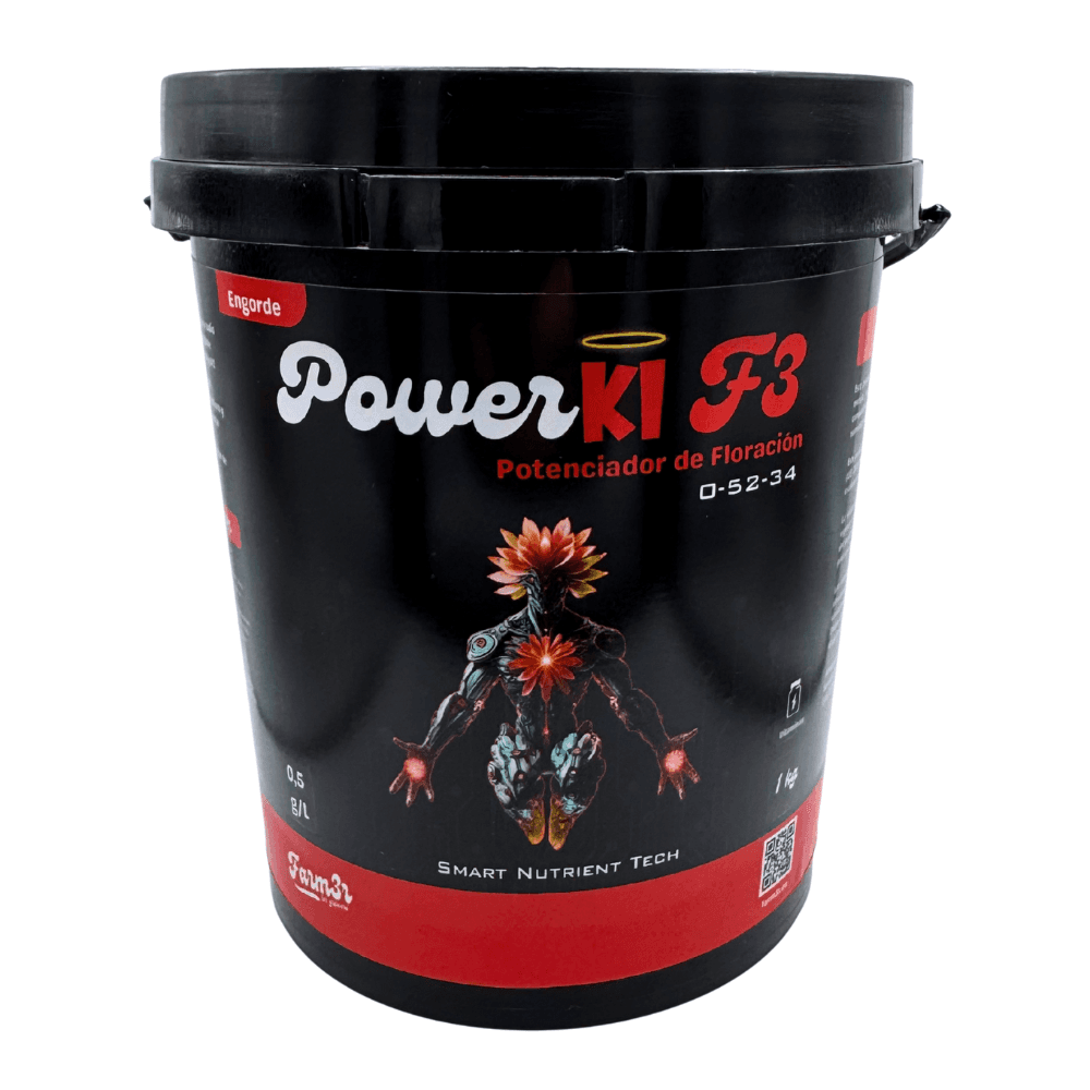 1 Kg