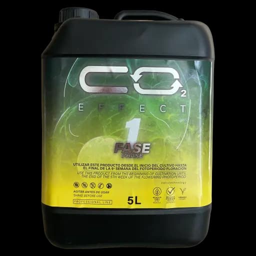 CO2 Effect Fase 1 - NANO