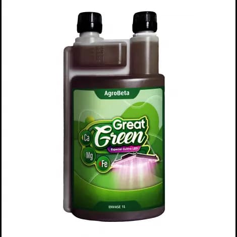 1L