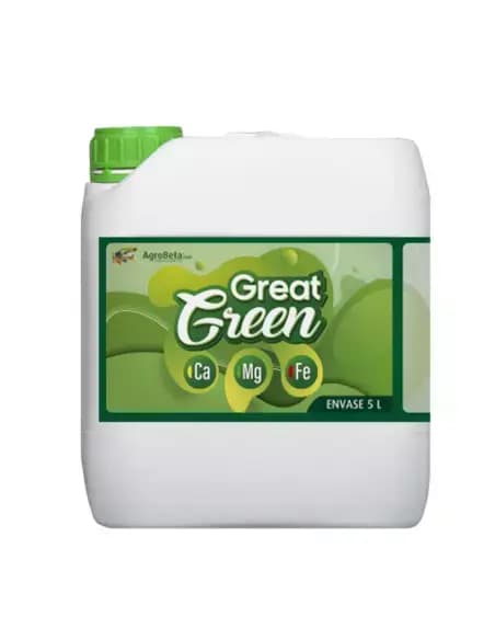 5L