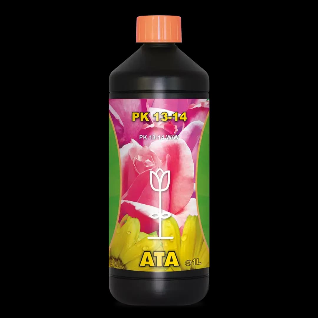 1L