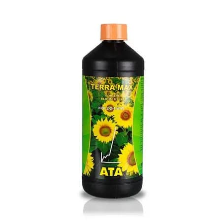 1L