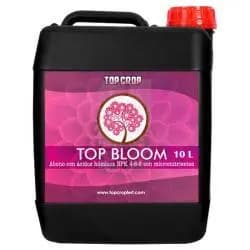 10L