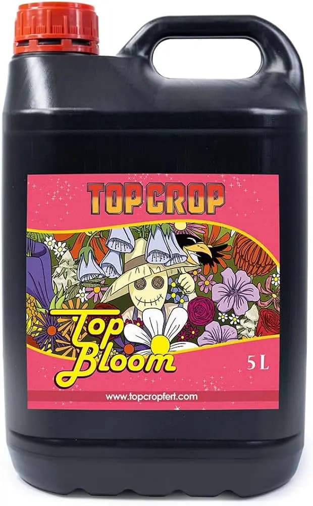 5L
