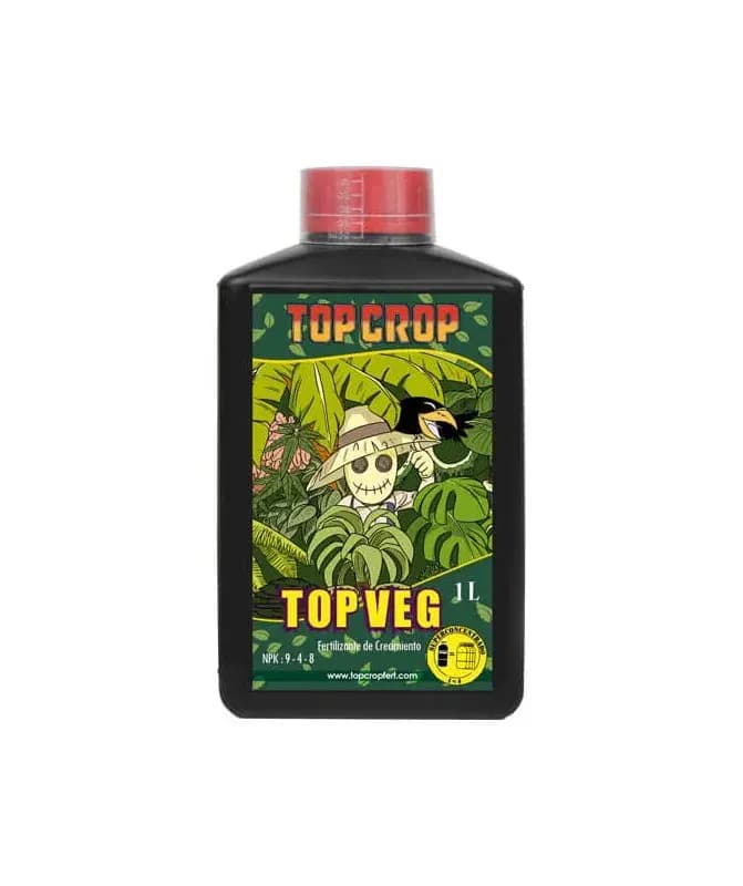 1L