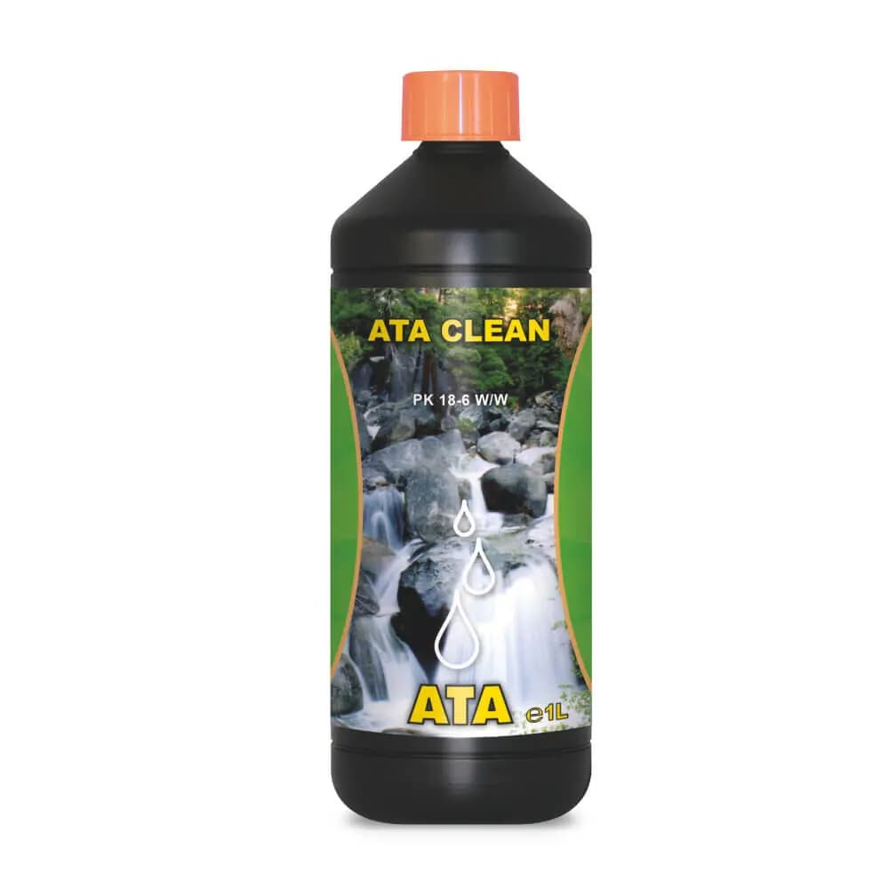 1L