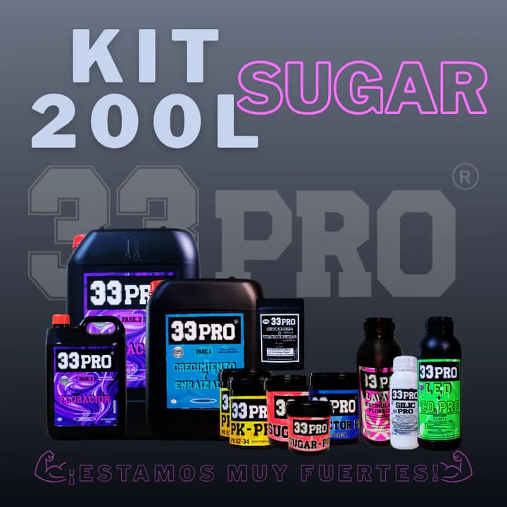 KIT 200 LITROS PRO +SUGAR 33PRO