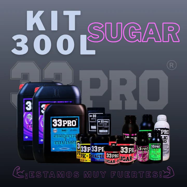 KIT 300L PRO +SUGAR 33PRO