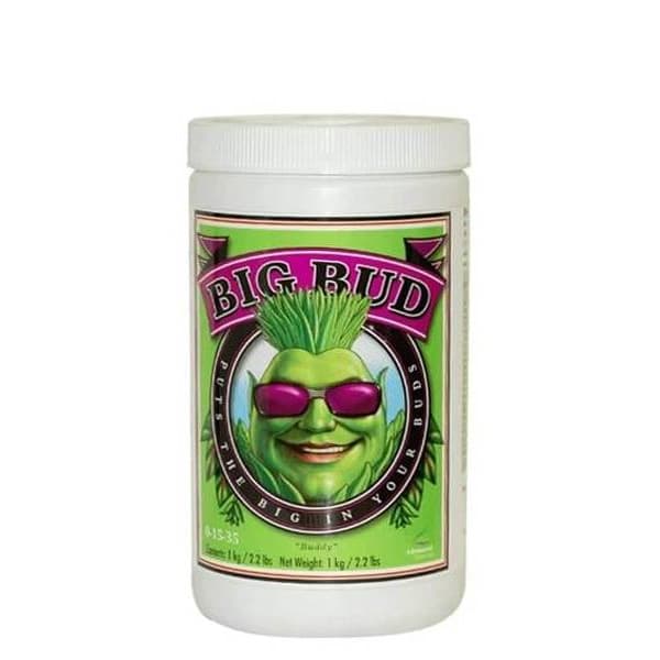 Big Bud Powder