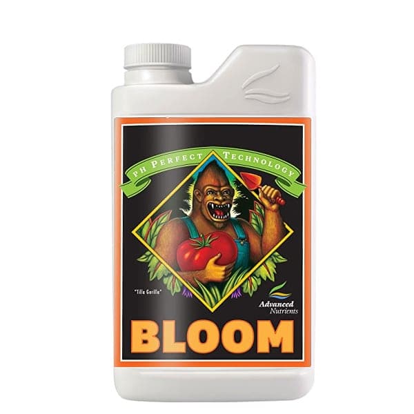 Bloom
