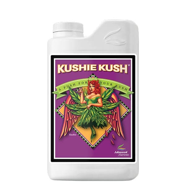 Kushie Kush