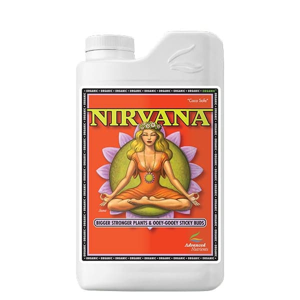 Nirvana