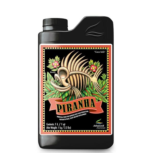 Piranha