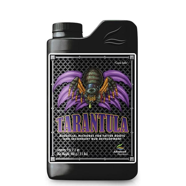 Tarantula