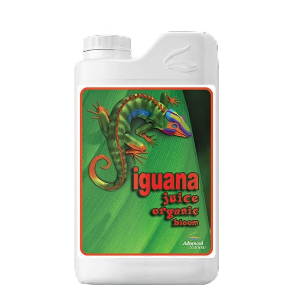 Iguana Juice Bloom