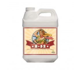 5-l